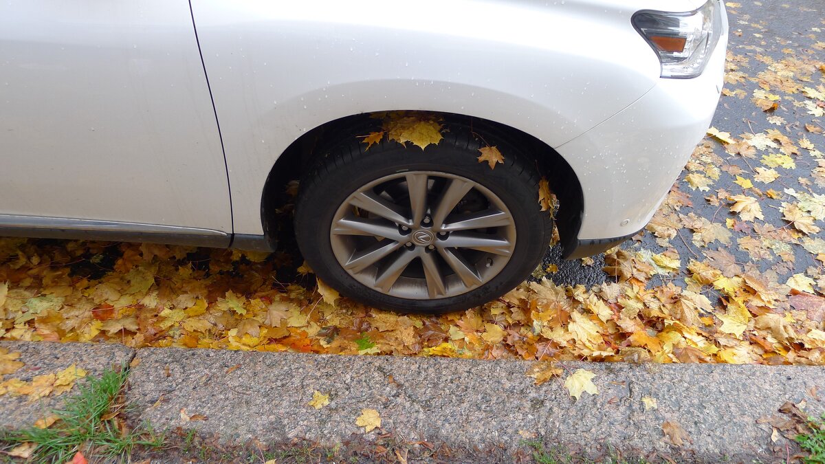 Осень припарковалась первой - Серж Show