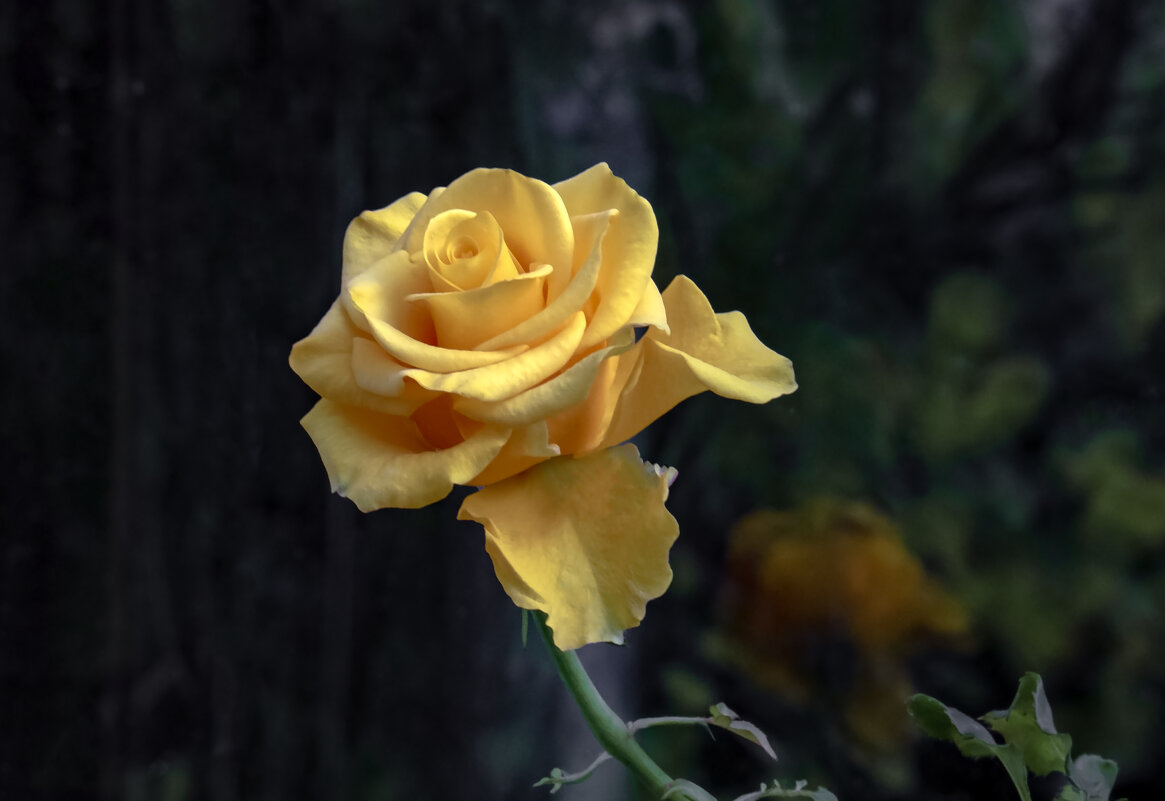 Последний осенний месяц... - Валерий Басыров