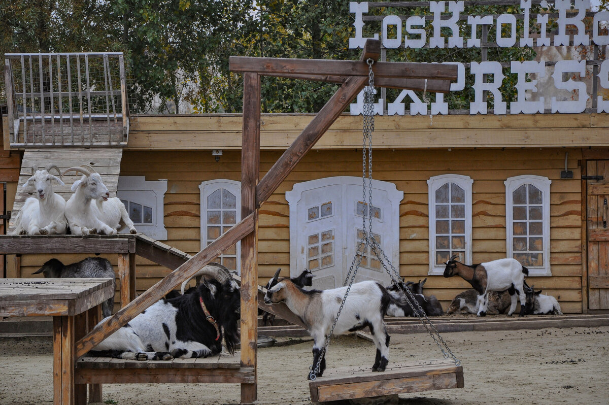LosKroliKoz EXPRESS - Деревня коз - Татьяна Машошина