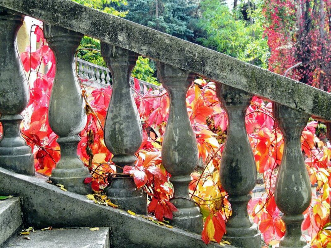 Осенний вальс - Galina Solovova