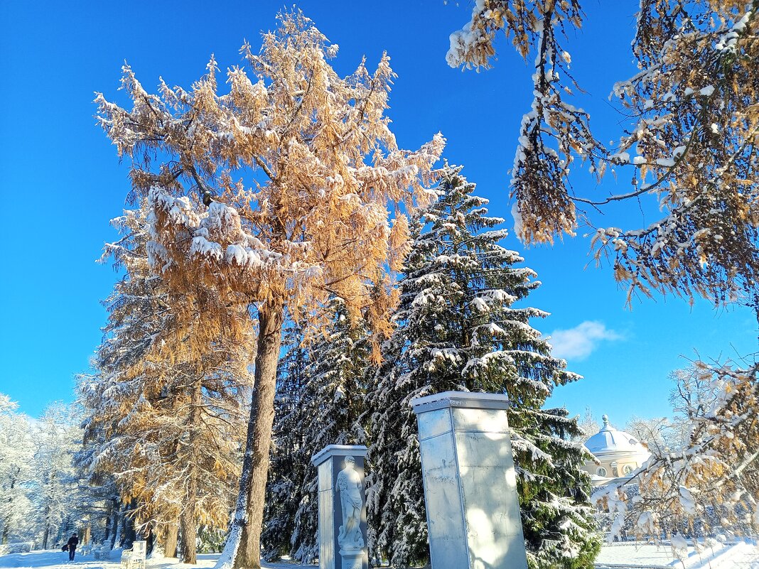 Осень - Сапсан 