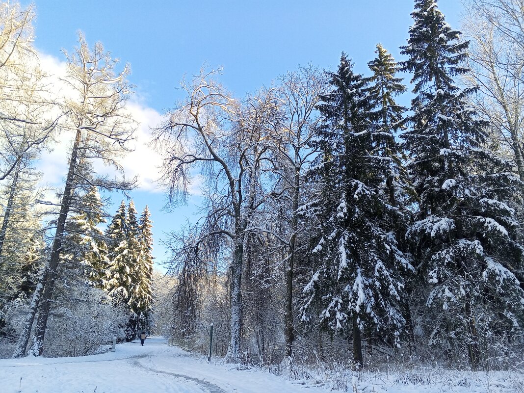 Зима - Сапсан 