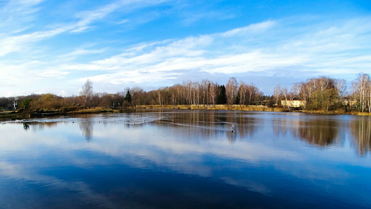 Природа Смоленщины в середине ноября (репортаж из поездок по области). - Милешкин Владимир Алексеевич Природа Смоленщины в середине ноября (репортаж из поездок по области). - Милешкин Владимир Алексеевич