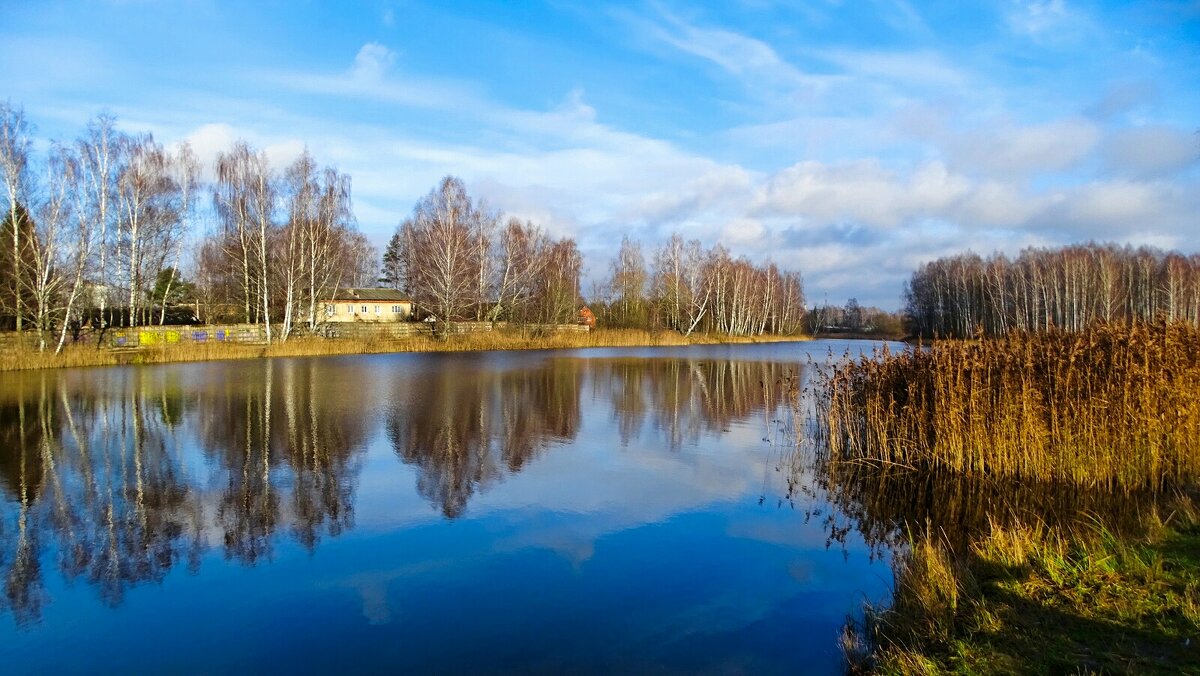 Природа Смоленщины в середине ноября. - Милешкин Владимир Алексеевич 