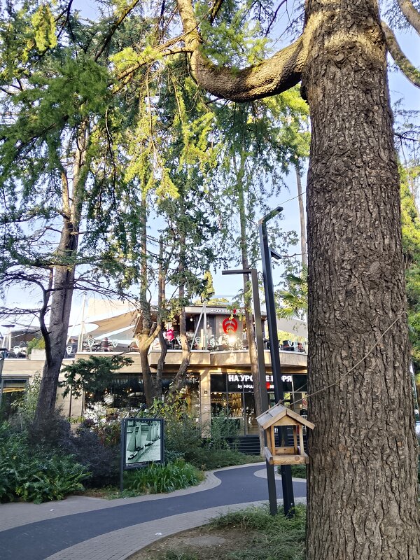 РИВЬЕРА - Tata Wolf