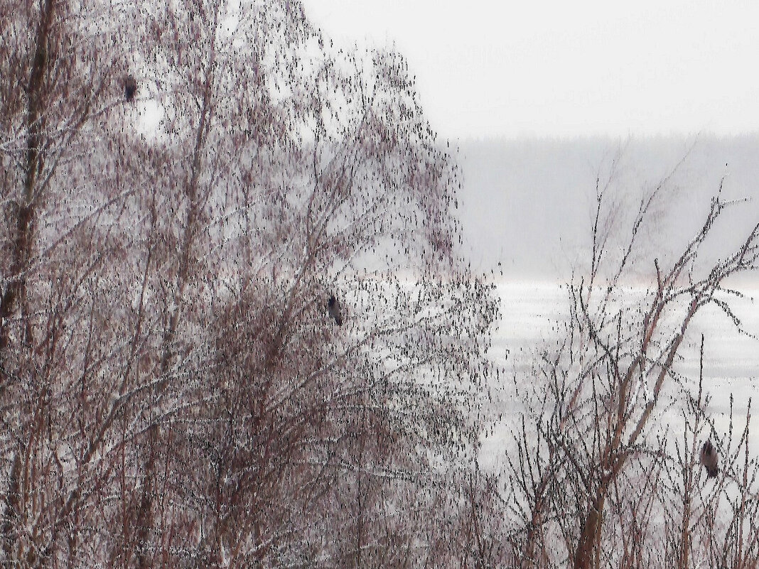 Мы забыли,  как  выглядит  солнышко - Фотогруппа Весна