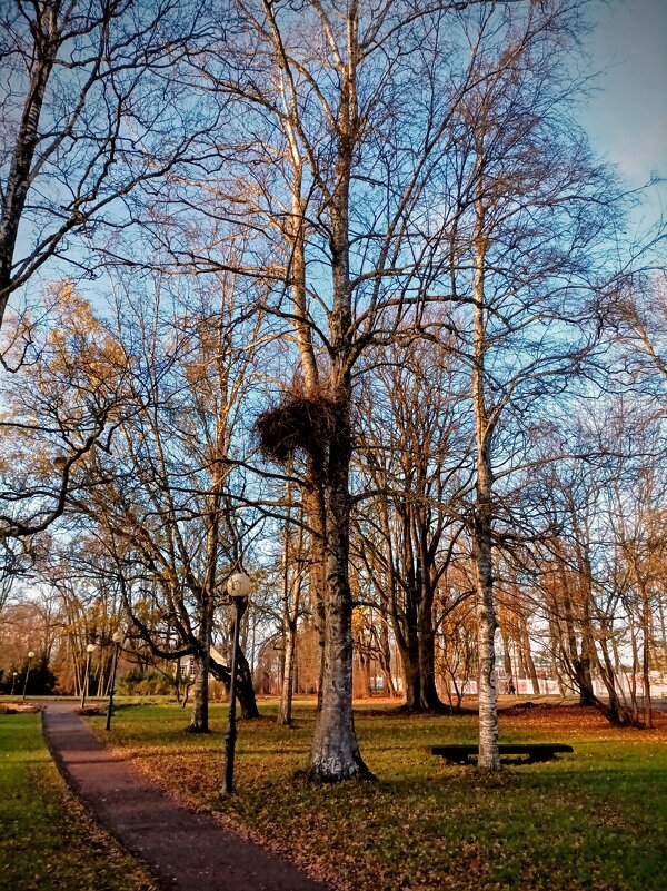 Прогулка по парку Кадриорг - Veera V