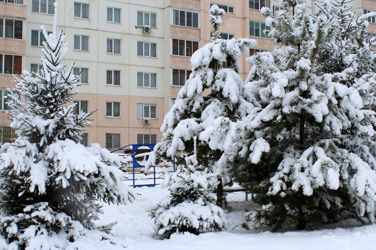 Мороз снежком укутывал - Татьяна Лютаева