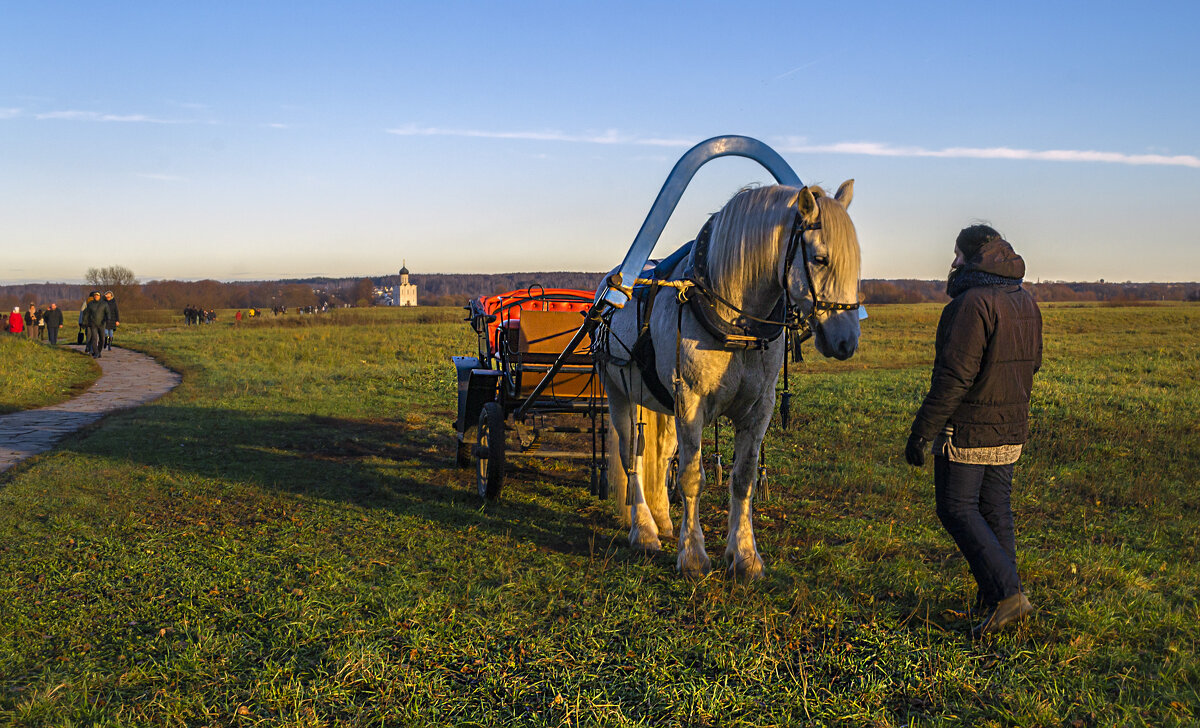 Поджидая седока - Сергей Цветков