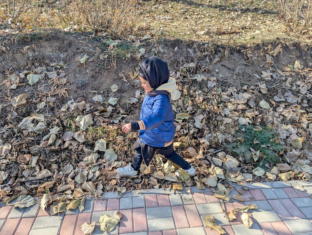 Жёлтые листья... - Андрей Хлопонин