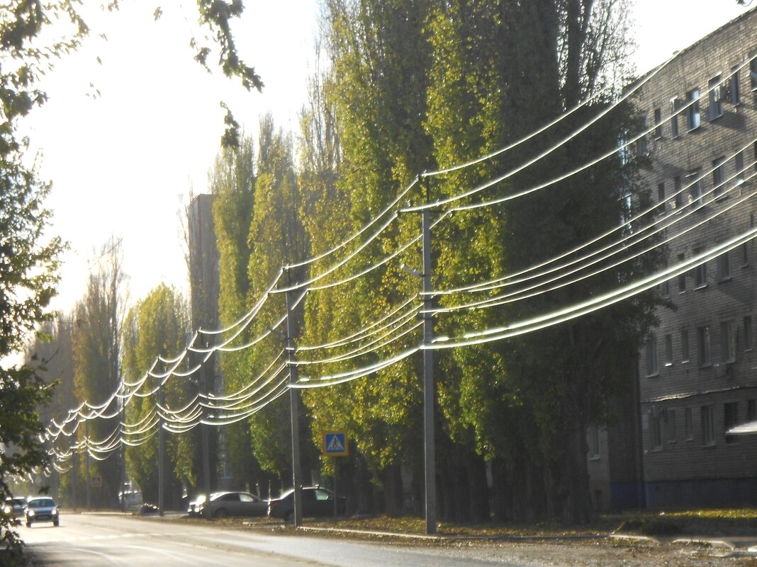 ноябрьский вечер - Елена Шаламова
