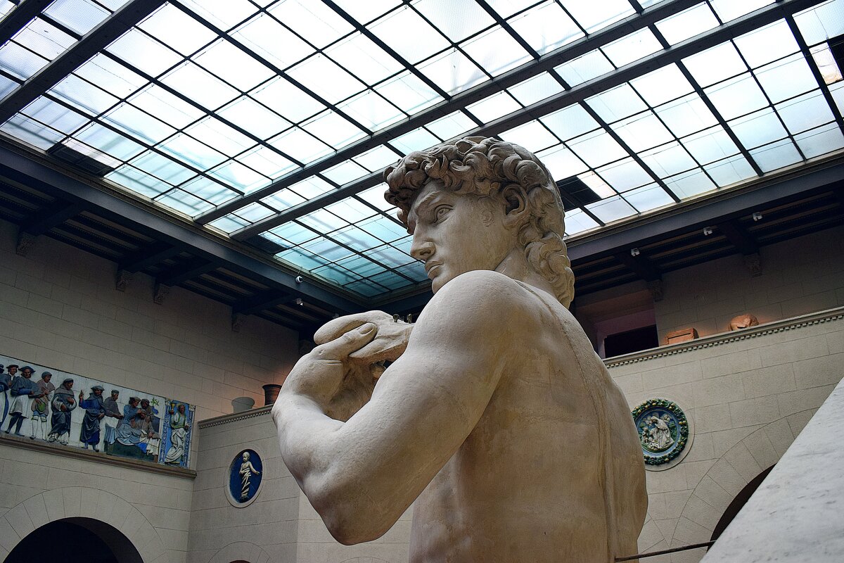 Красивая голова Давида с копной кудрявых волос. - Татьяна Помогалова