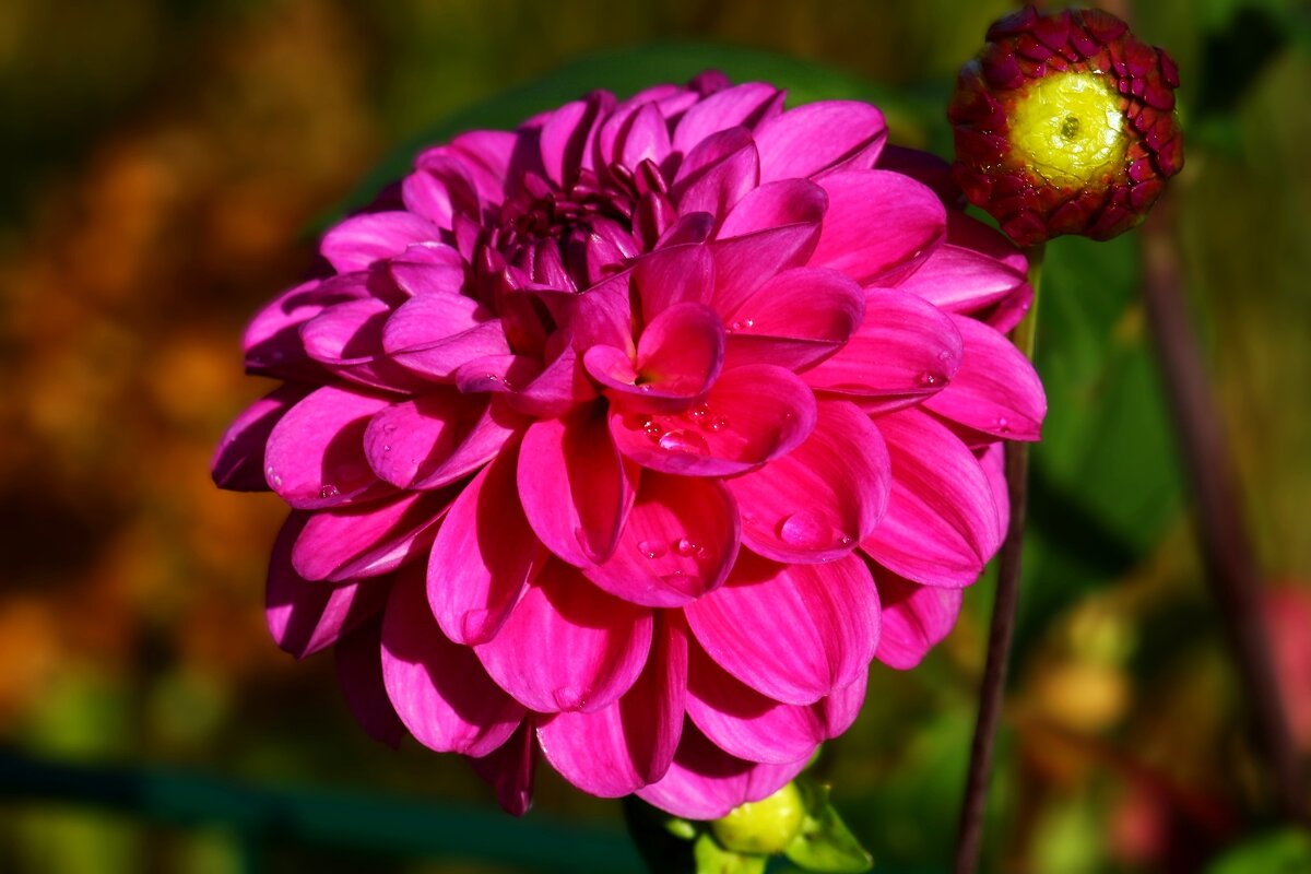 Доброе утро - Юрий. Шмаков