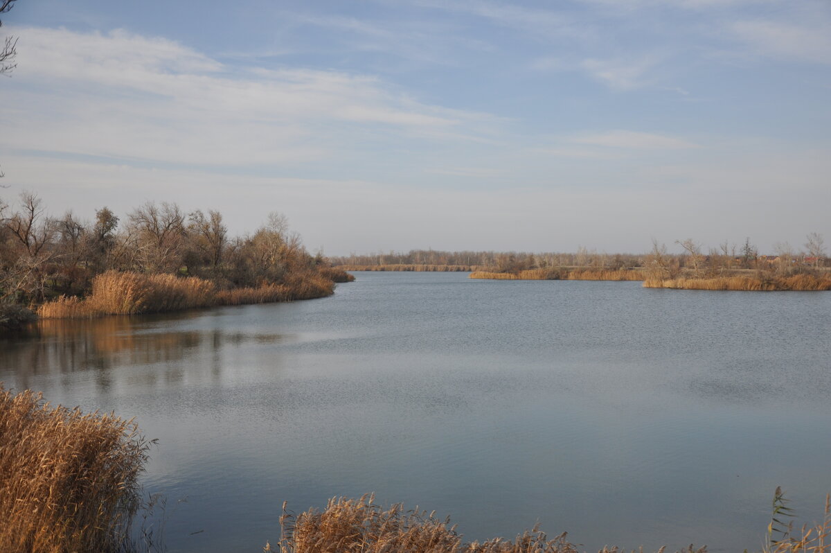 У пруда. - Виктор У пруда. - Виктор