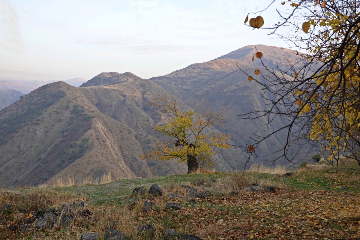 В горах Армении - Галина В горах Армении - Галина