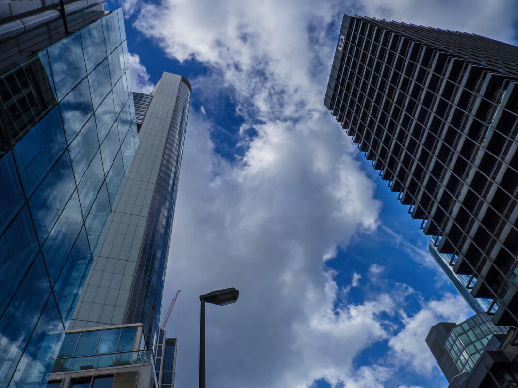 Устремленные... - Наталья Rosenwasser Устремленные... - Наталья Rosenwasser