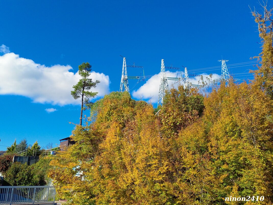 Адлер. Скайпарк - Нина Бутко
