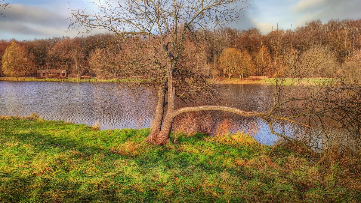 20 ноября - Наталья Лакомова