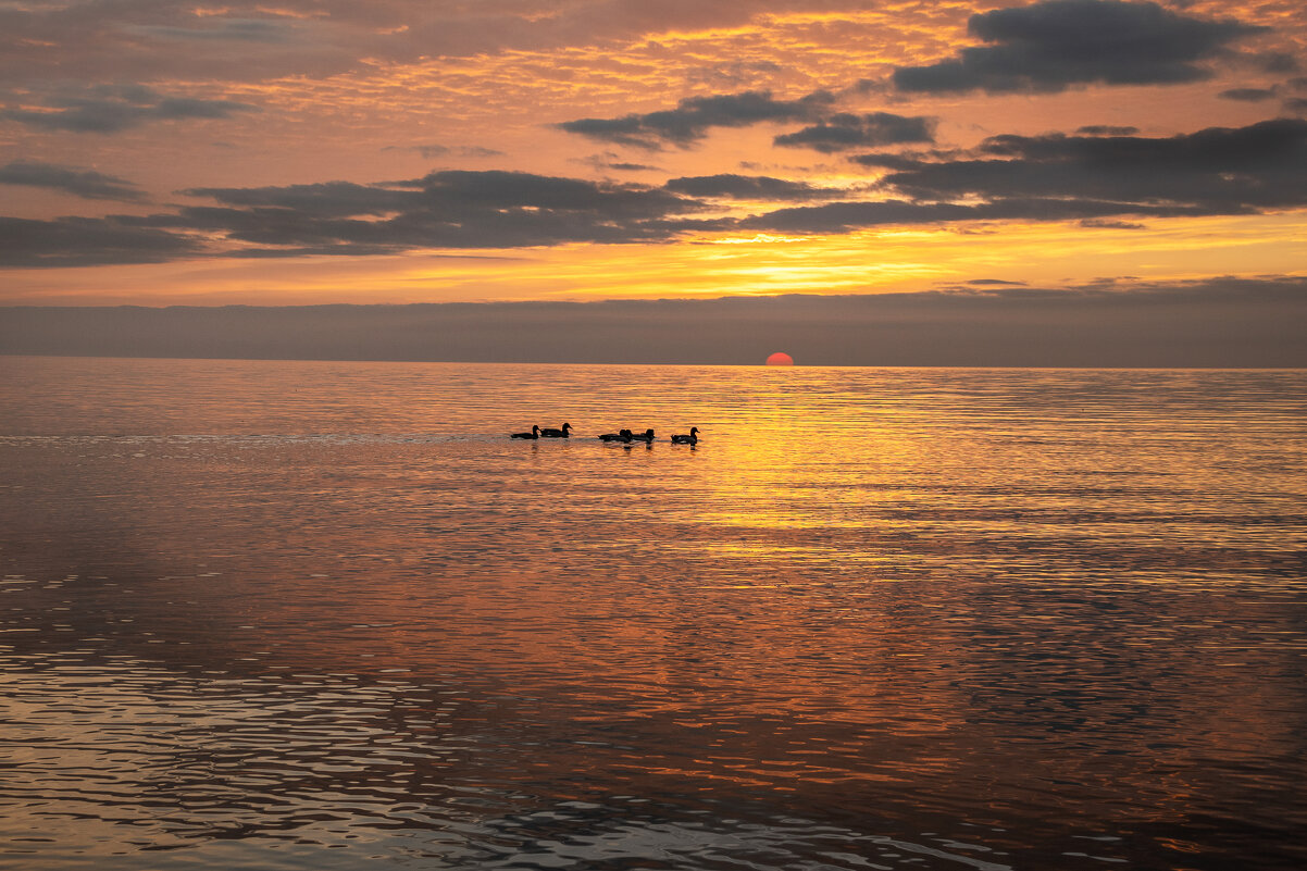 Тишина - Ирина 