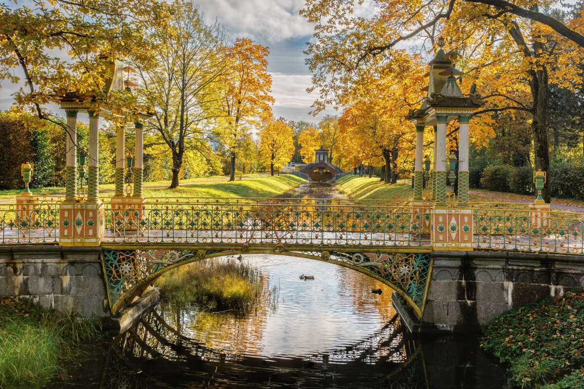 Про Питер - Владимир Колесников