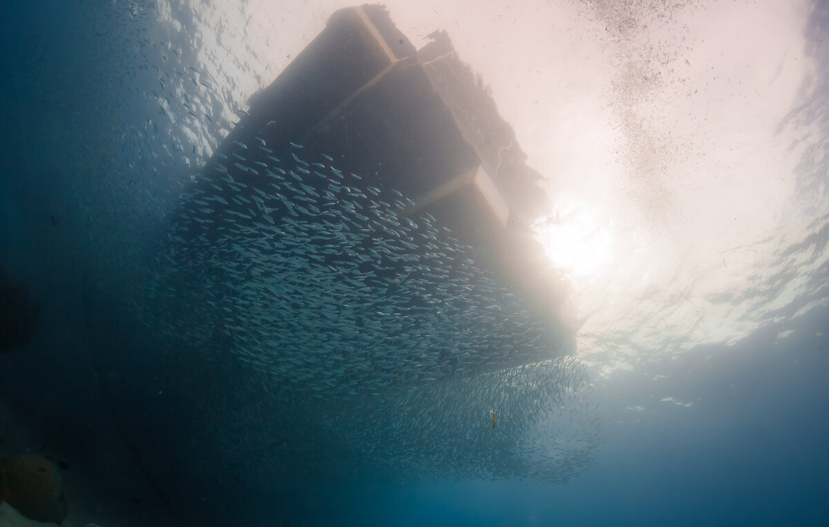 *** - алексей афанасьев