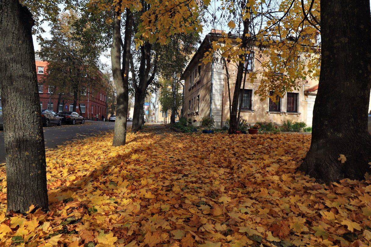 ОСЕНЬ - Николай 