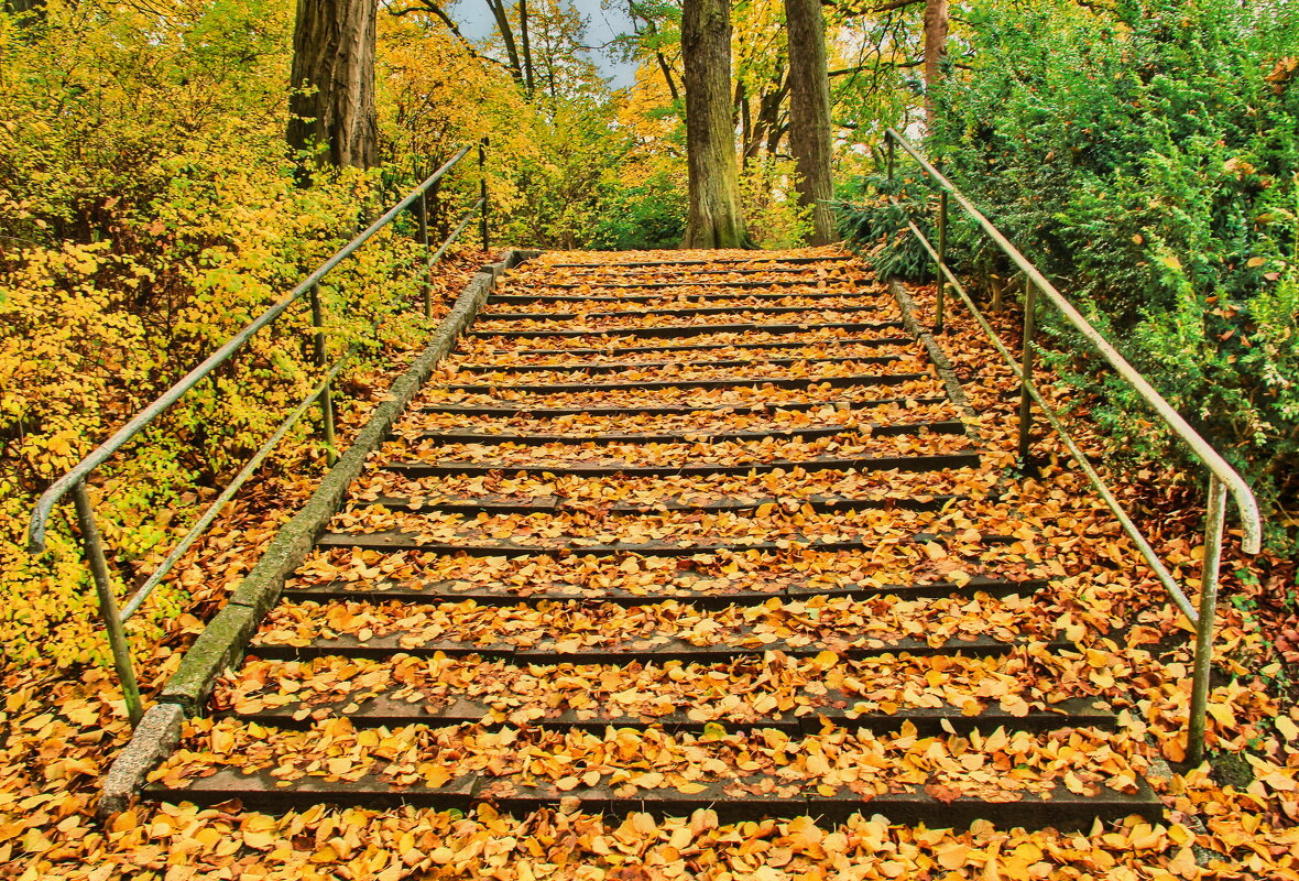 Лестница в осень - Андрей K. Лестница в осень - Андрей K.
