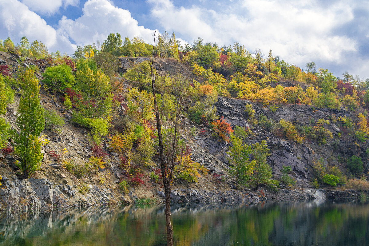 Осенняя красота - Светлана Ищенко