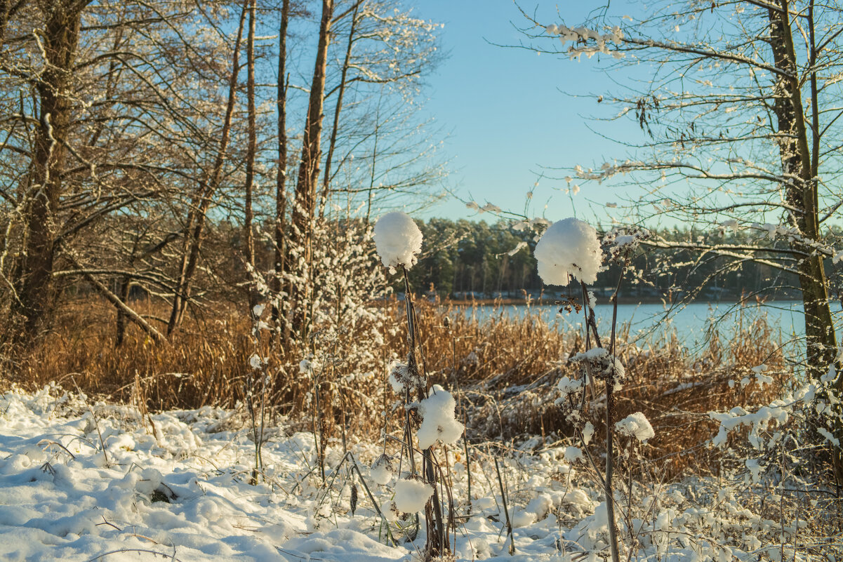 Первый снег. - Николай 