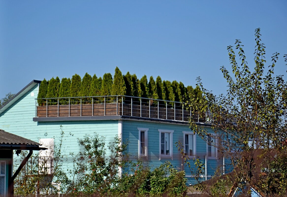 ПУШКИНСКИЕ ГОРЫ. - Виктор Осипчук