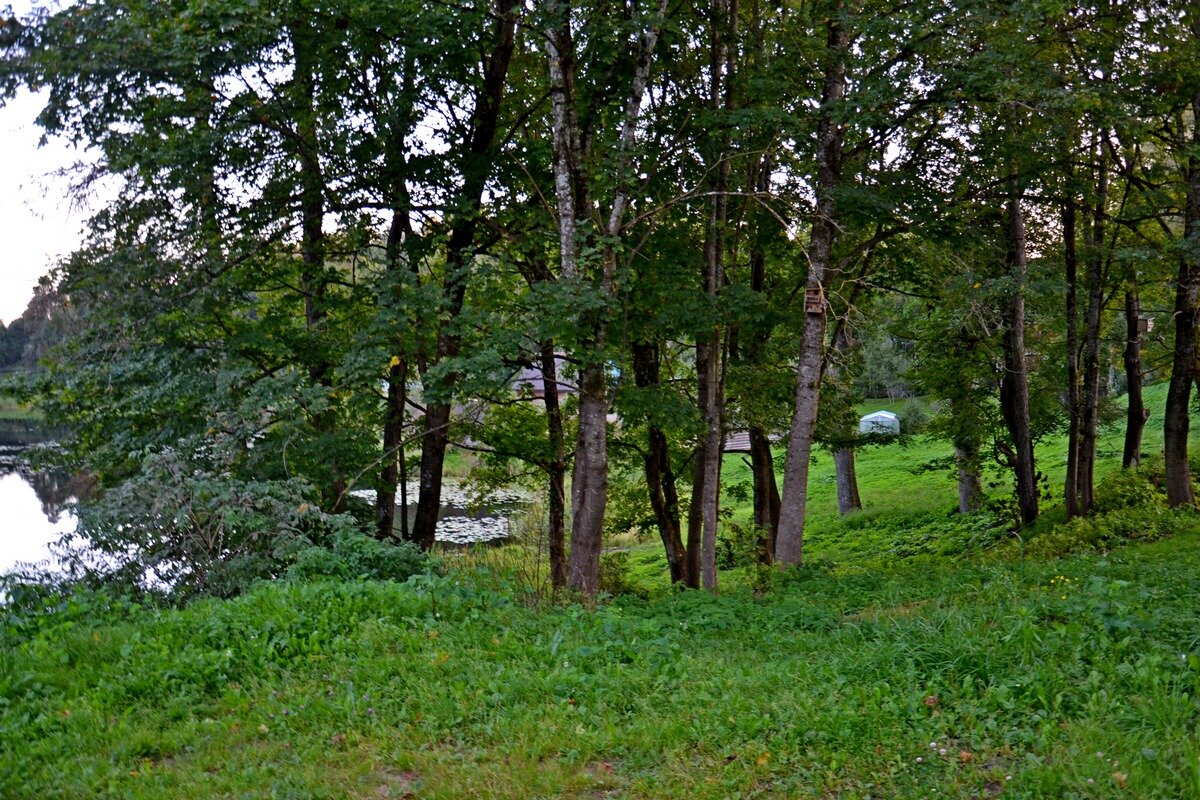 ПУШКИНСКИЕ ГОРЫ. - Виктор Осипчук