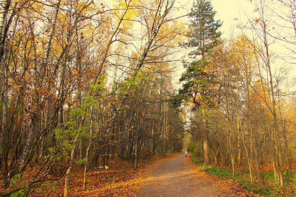 ПО ОСЕННИМ АЛЛЕЯМ ПАРКА... - Валентина 