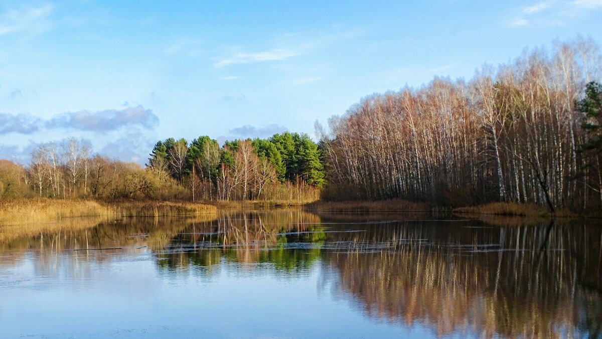 Уголок осенней природы. - Милешкин Владимир Алексеевич 