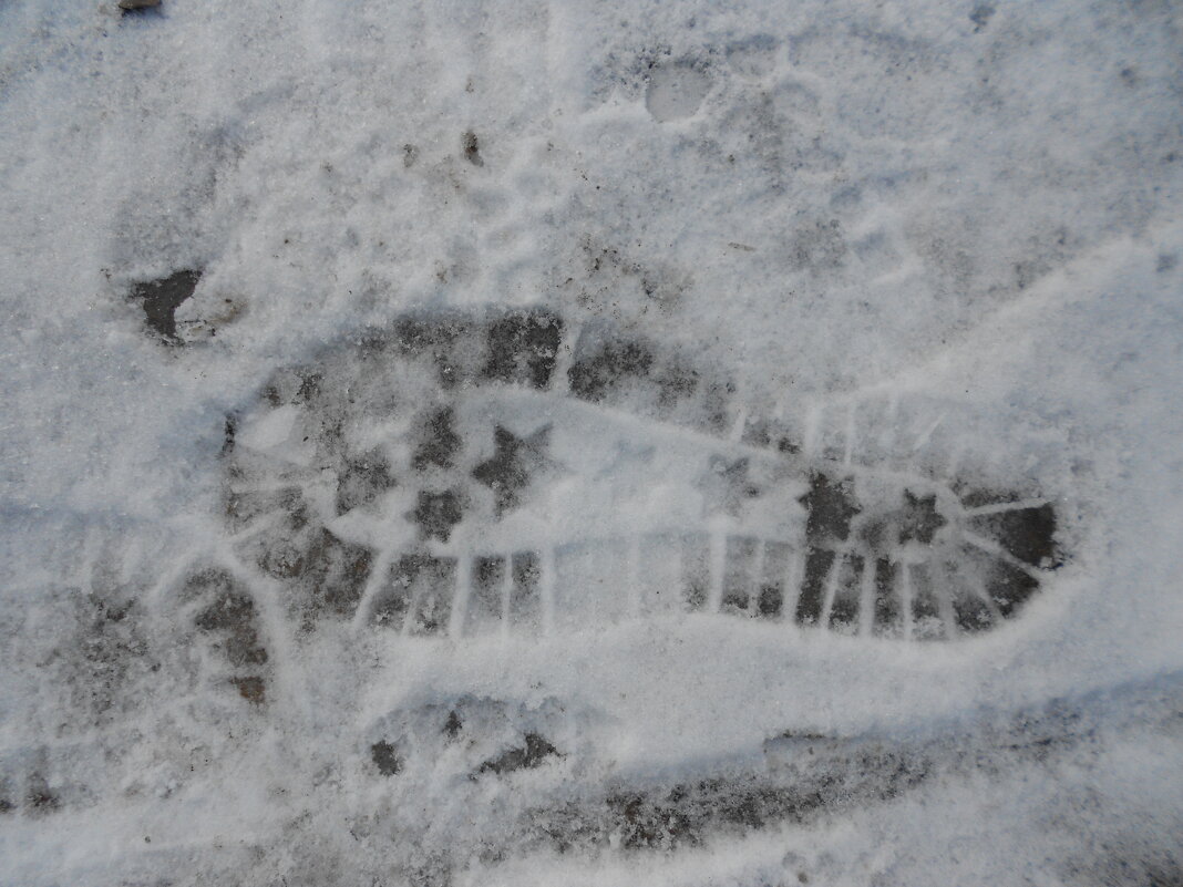 январские следы - Елена Шаламова