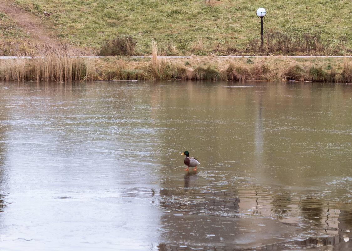 ... Нам море по колено/ Нам горы по плечо... - Игорь Николаев