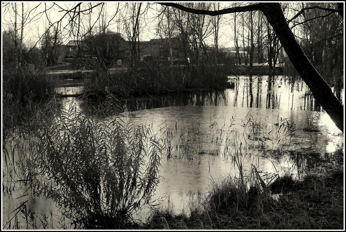 Первый ледок... - Aleksandr Gal