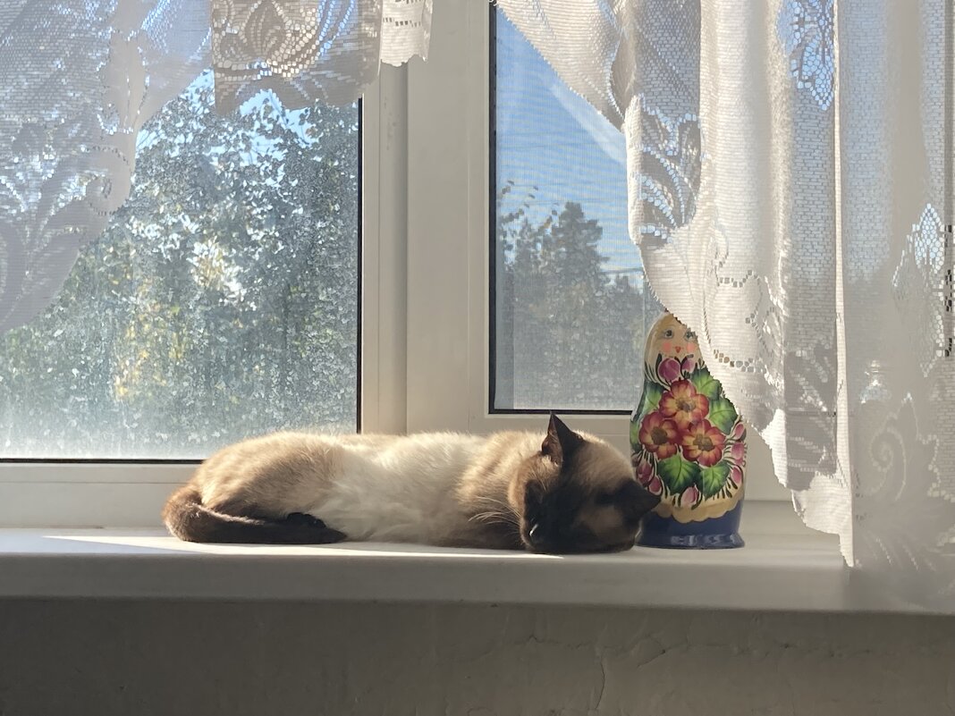 На солнышке - Ольга Савельева 