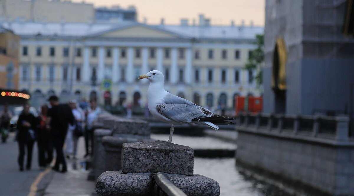 Как памятник - ZNatasha - Как памятник - ZNatasha -