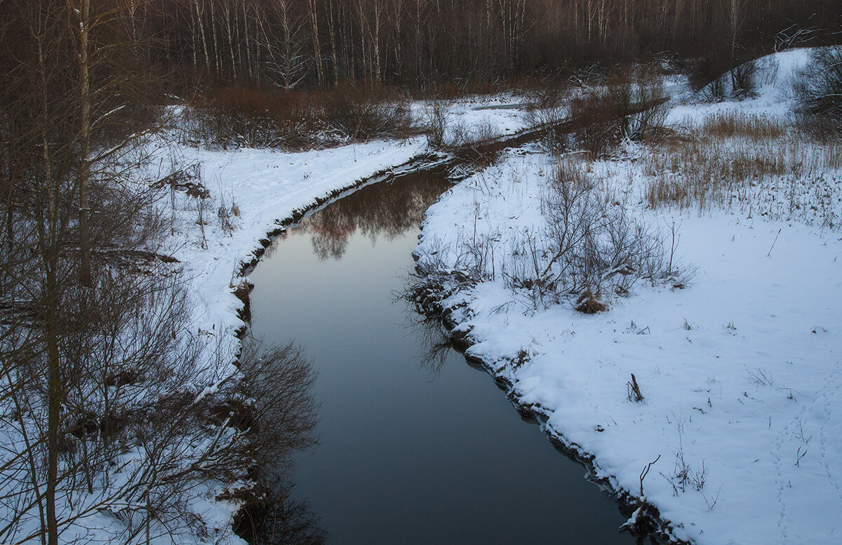 Ноябрьский монохром. - Лилия * Ноябрьский монохром. - Лилия *