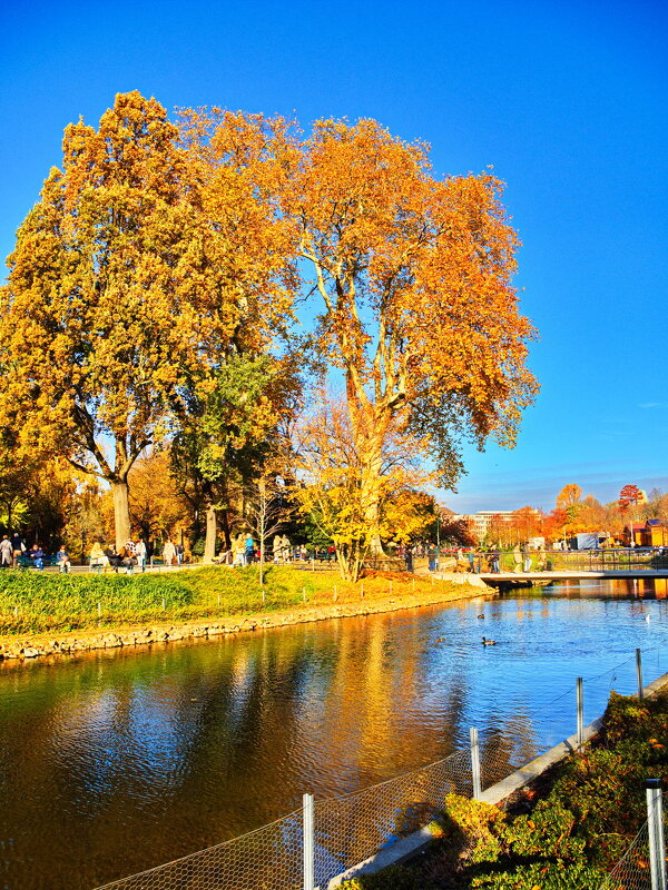 *** - Witalij Löwin