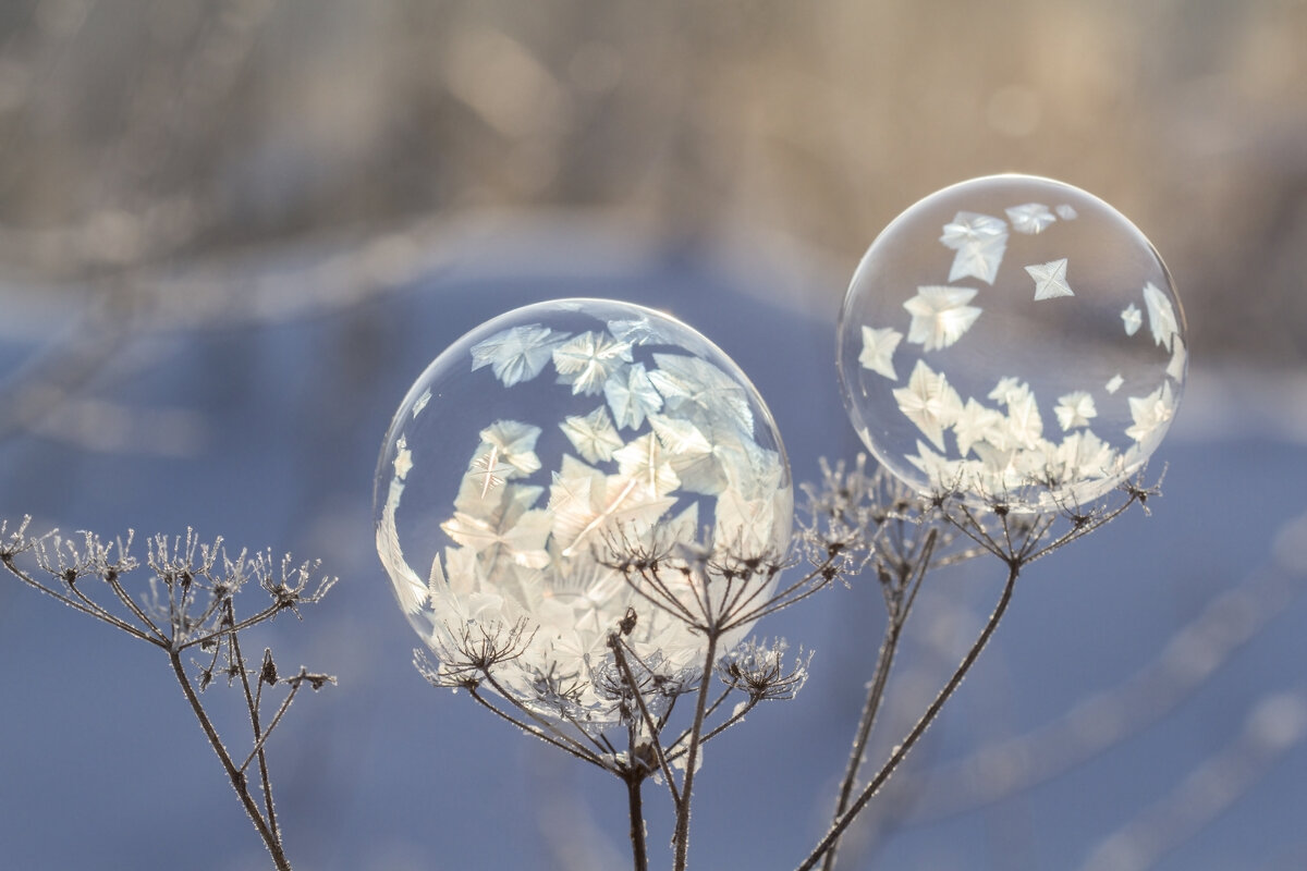 Пузыри - Андрей Пристяжнюк