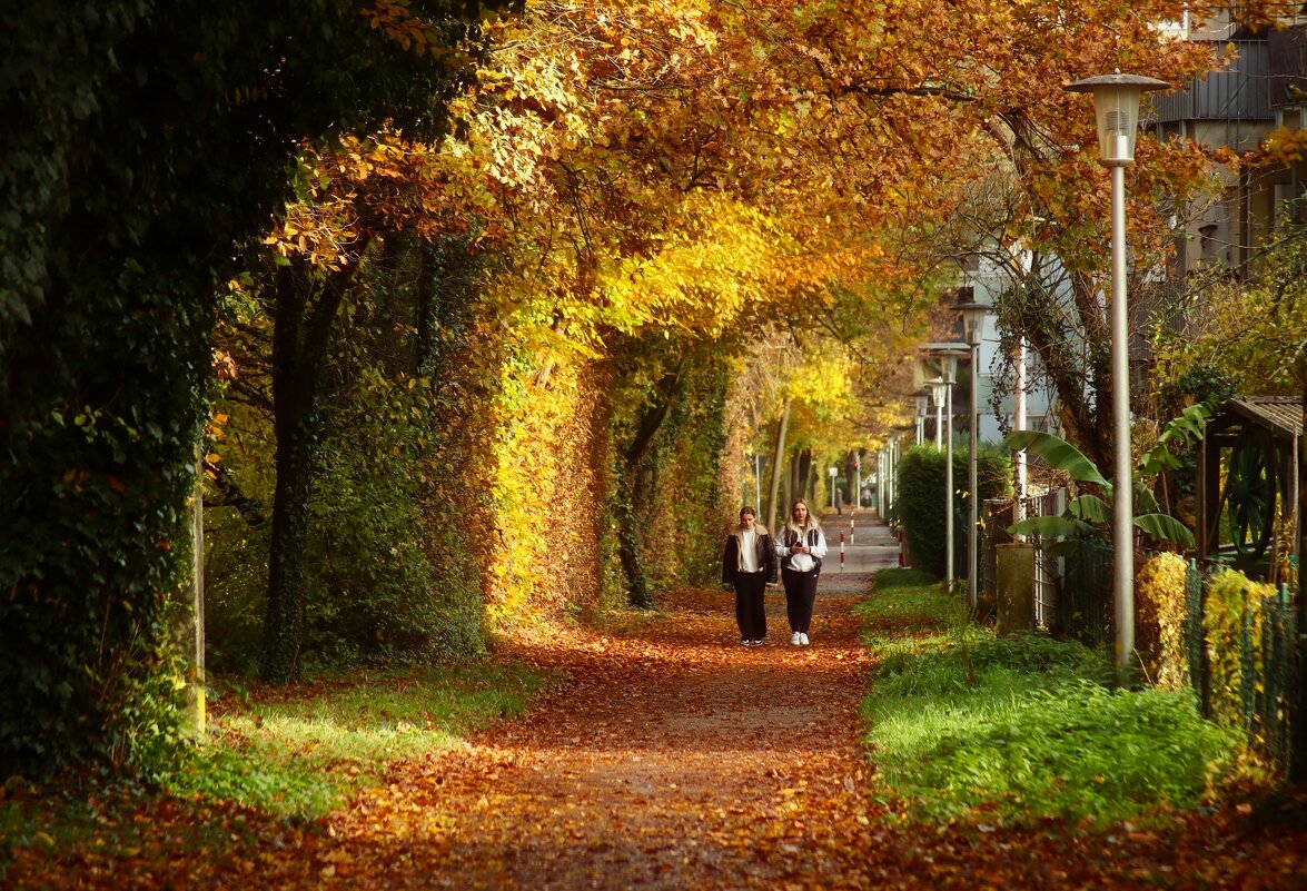 Под аркой осени - Юрий. Шмаков