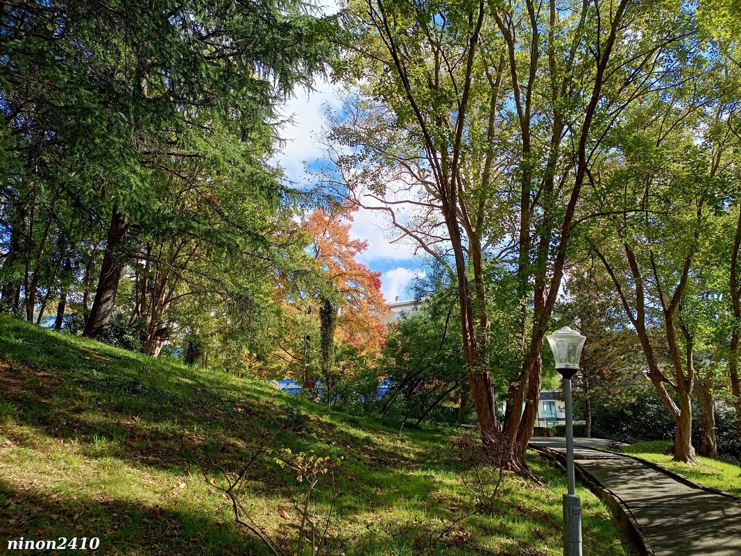 Адлер. В пансионате "Орбита" - Нина Бутко