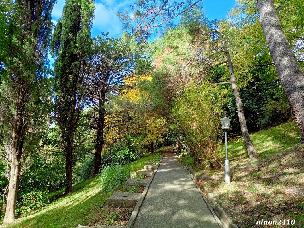 Адлер. В пансионате "Орбита" - Нина Бутко Адлер. В пансионате "Орбита" - Нина Бутко