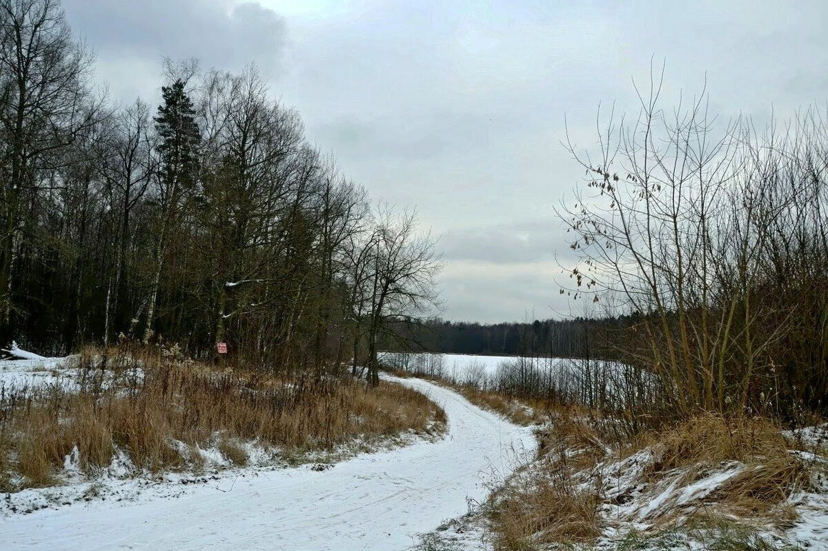 Ноябрь скоро зима. - Михаил Столяров