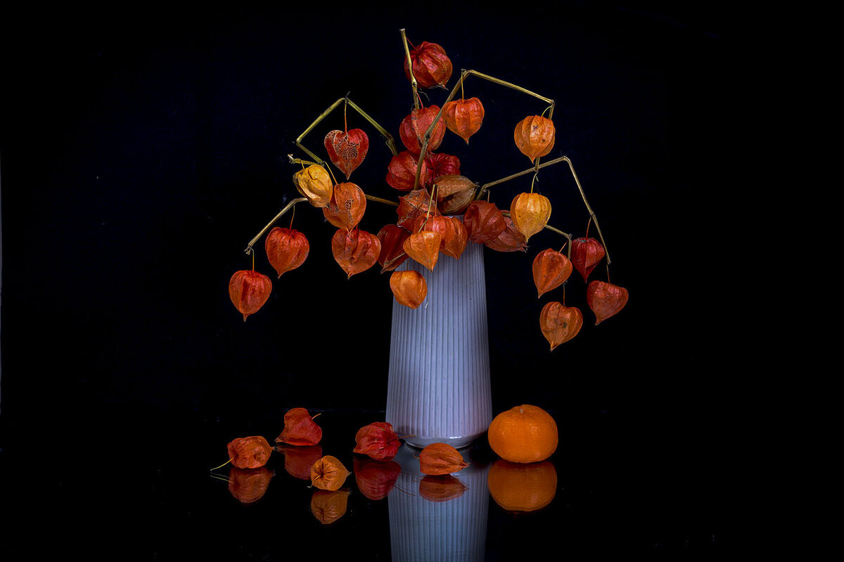 Физалис на черном... - Людмила Павловна Крышковец