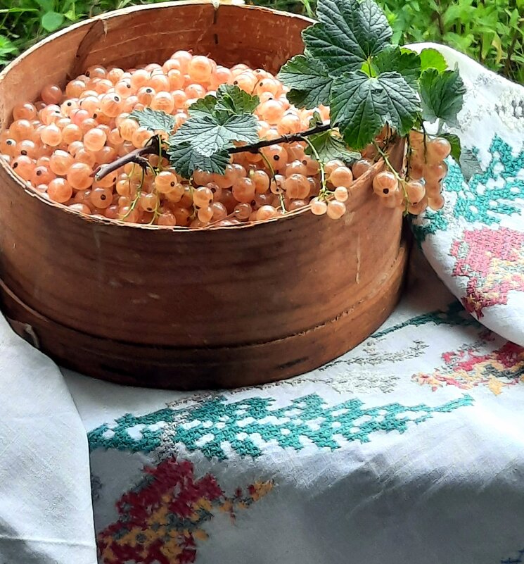 Натюрморт. - жанна нечаева