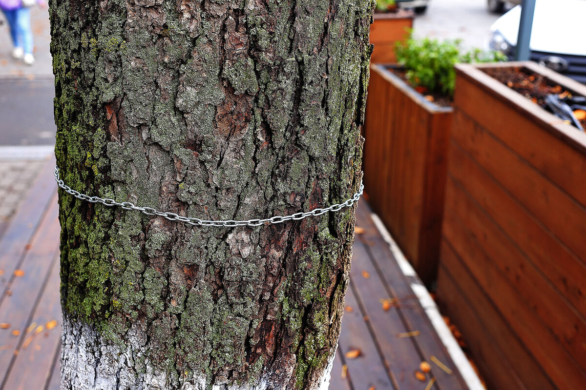 Просто цепочка - Юрий Гайворонскiий