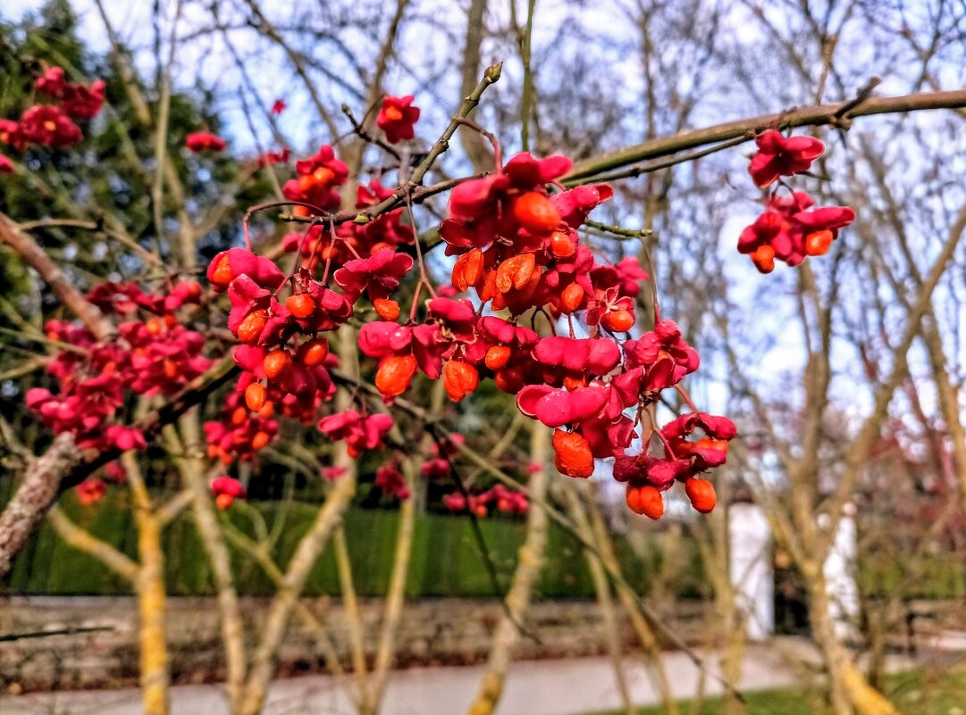Прогулка по парку Кадриорг - Veera V Прогулка по парку Кадриорг - Veera V