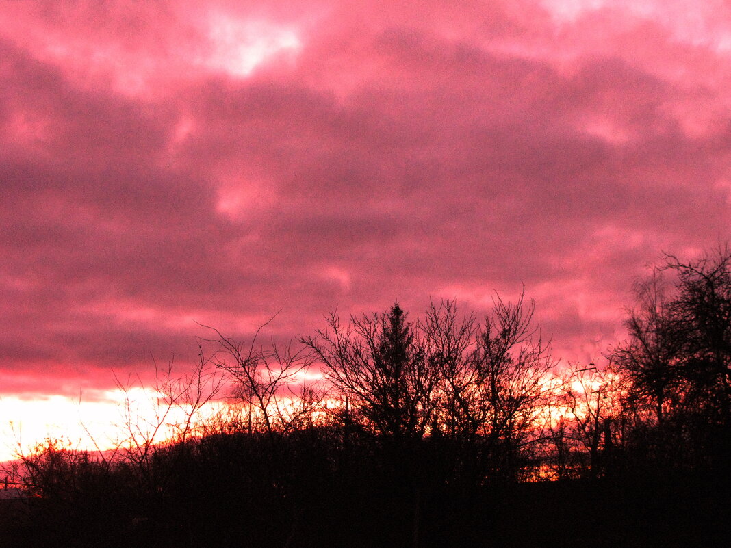 Яркое утро - Людмила Смородинская Яркое утро - Людмила Смородинская